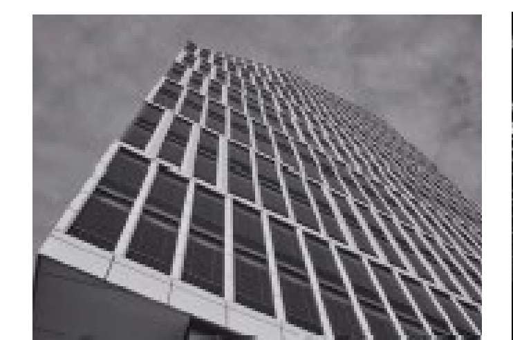 Development Management
